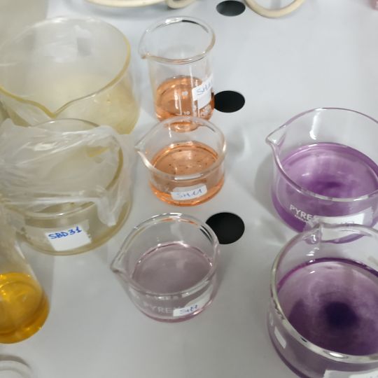 Imagen representativa del proyecto